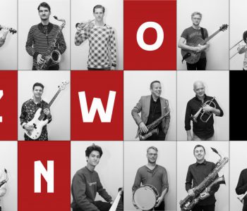 Zuid Nederlands Workshop Orkest (ZNWO)