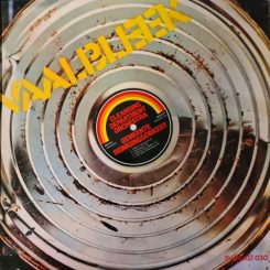 Vaalbleek Cleansing Department Orchestra (LP)